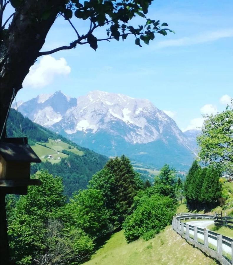 Bergblick Hollnhof Lejlighed Donnersbach Eksteriør billede