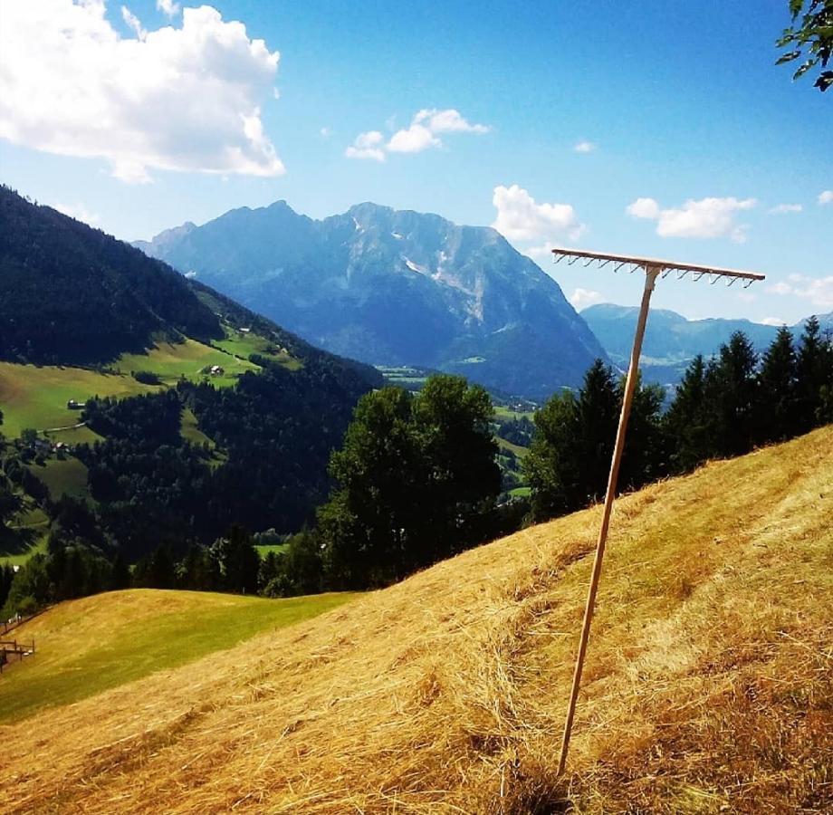Bergblick Hollnhof Lejlighed Donnersbach Eksteriør billede