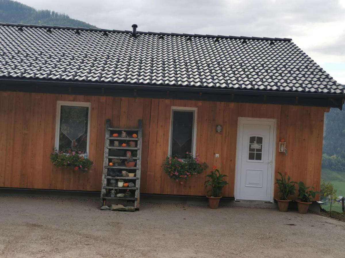 Bergblick Hollnhof Lejlighed Donnersbach Eksteriør billede